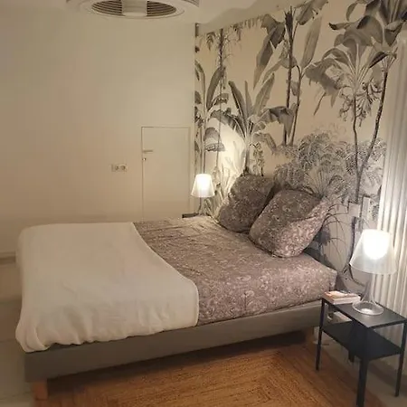 Apartment Californie, Winter Palace, A 2 Pas De La Rue D'antibes Et Des Plages De La Croisette